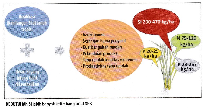 Pupuk Silika Cair