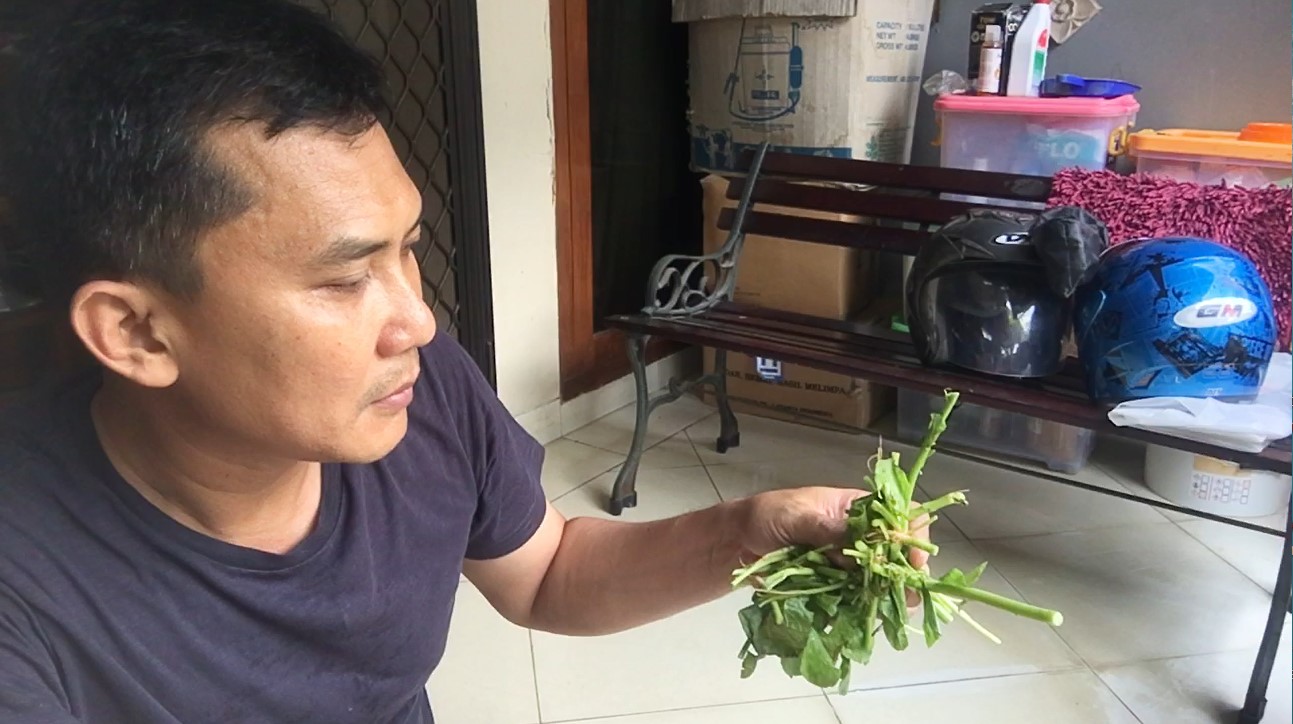Cara Membuat Pupuk Organik