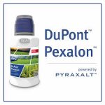 Pexalon Corteva DowDupont