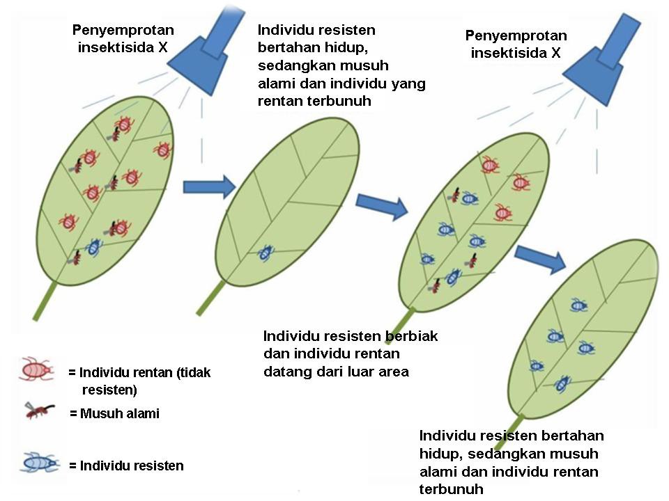 Tingkat Resistensi Tanaman Terhadap Hama dan Penyakit