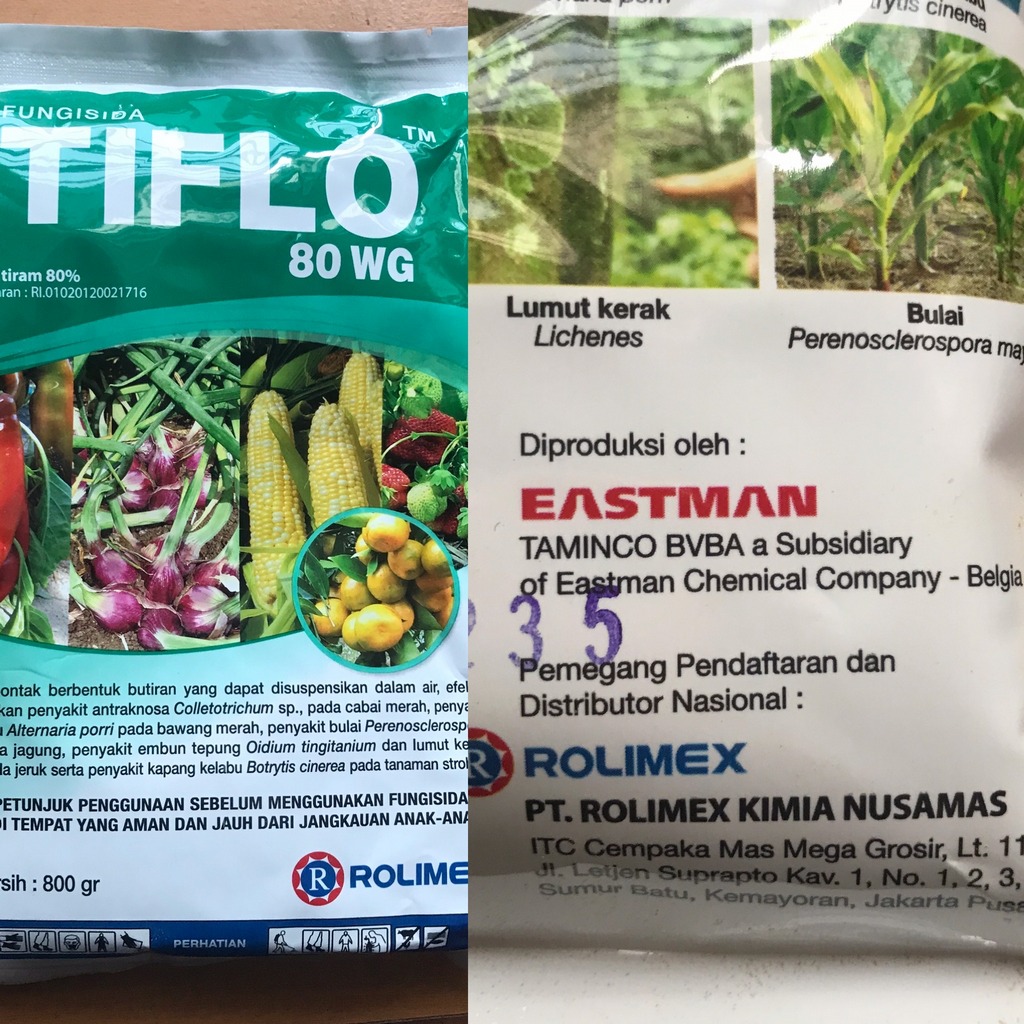 Fungisida Tiflo, Tiram
