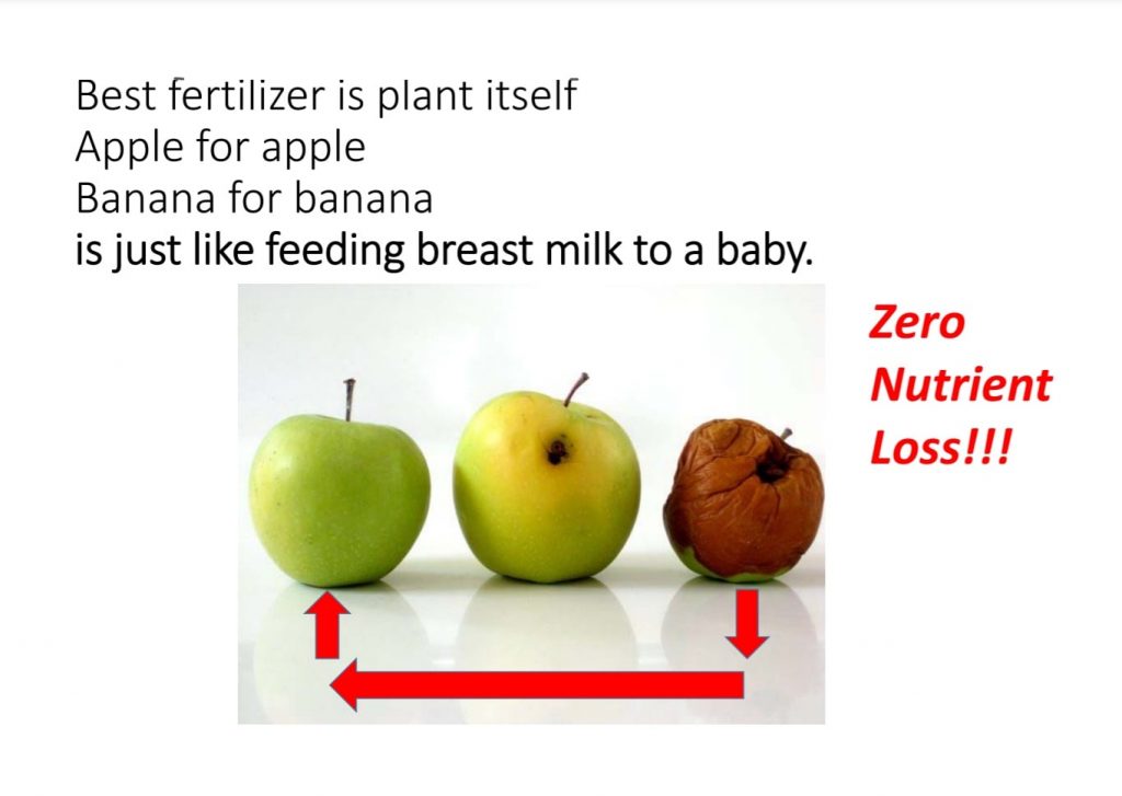 Best Fertilizer