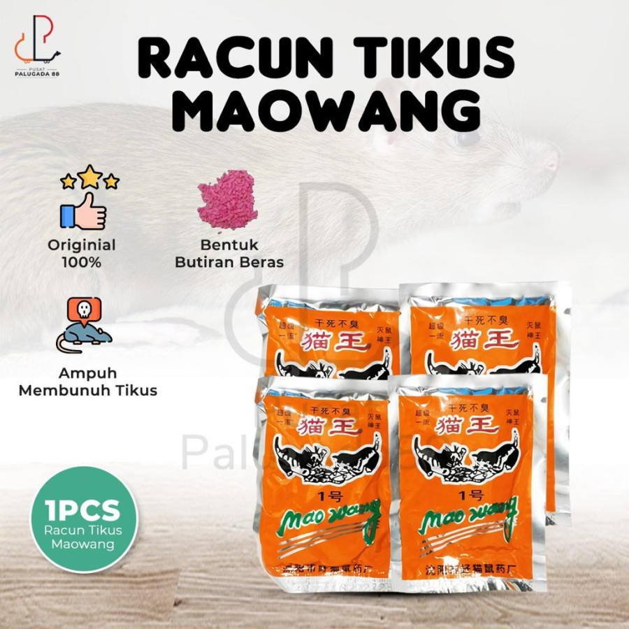 cara mengusir tikus dari rumah